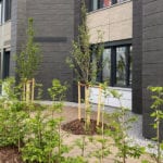 MR Datentechnik moderne Außenanlagen mit Obstbäumen