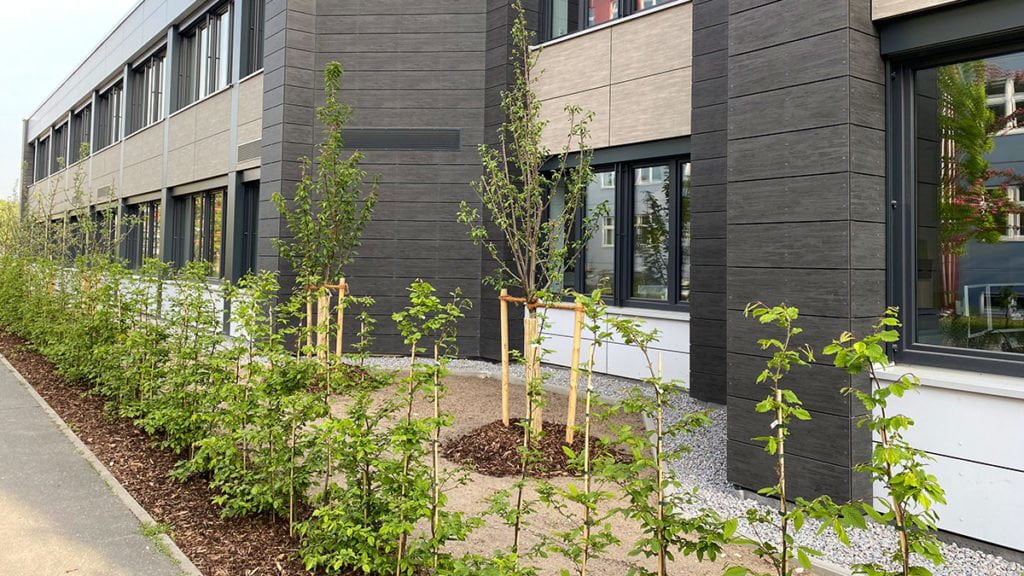 MR Datentechnik moderne Außenanlagen mit Obstbäumen