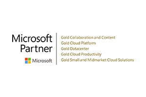 Logo Microsoft Partner 2021