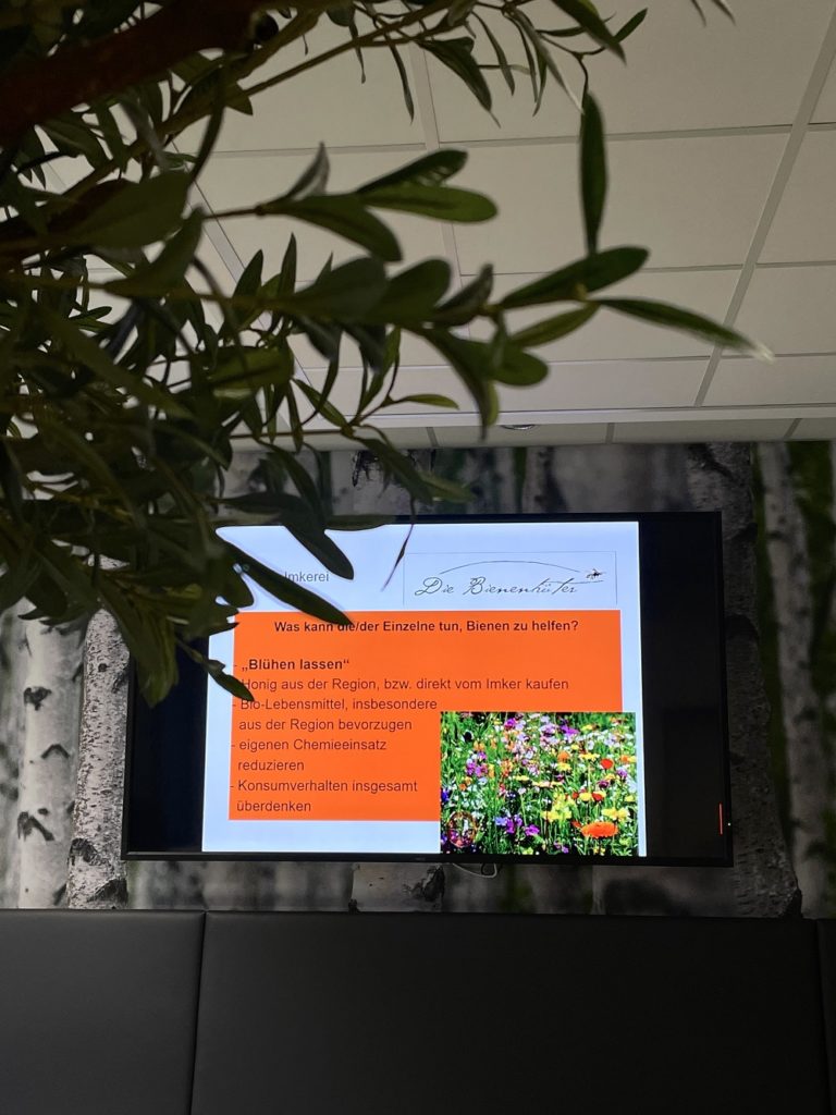 Informationen rund um Bienen