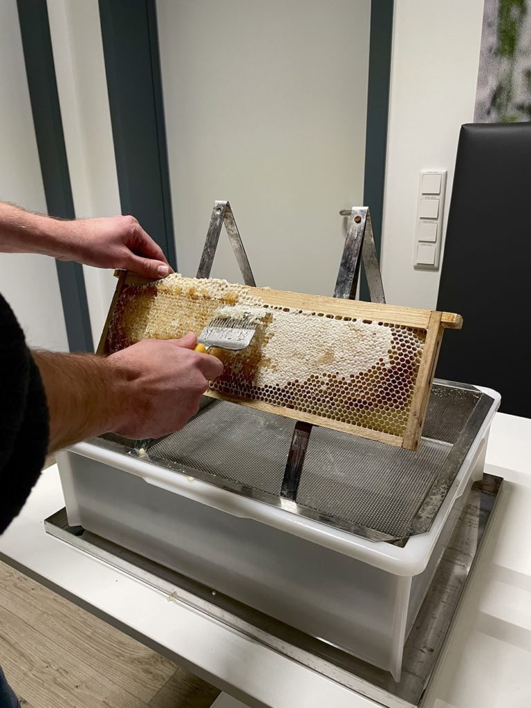 Bienenwaben mit Honig