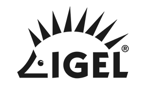 MR Partner | Igel Technology